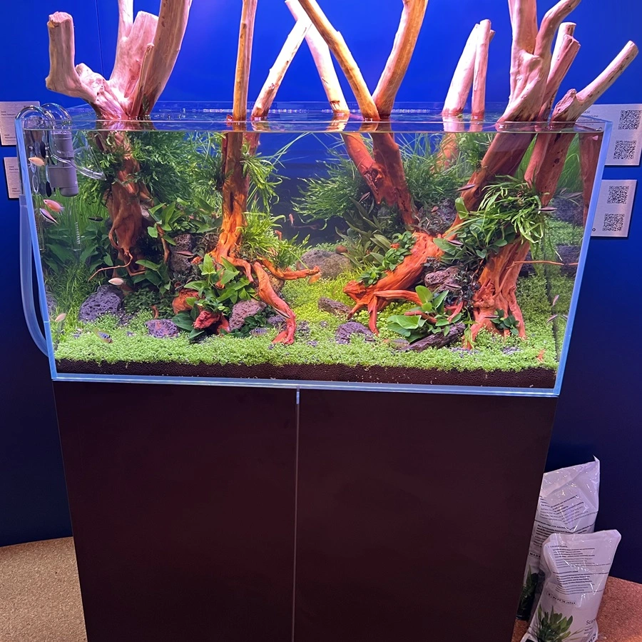 AquaScaping